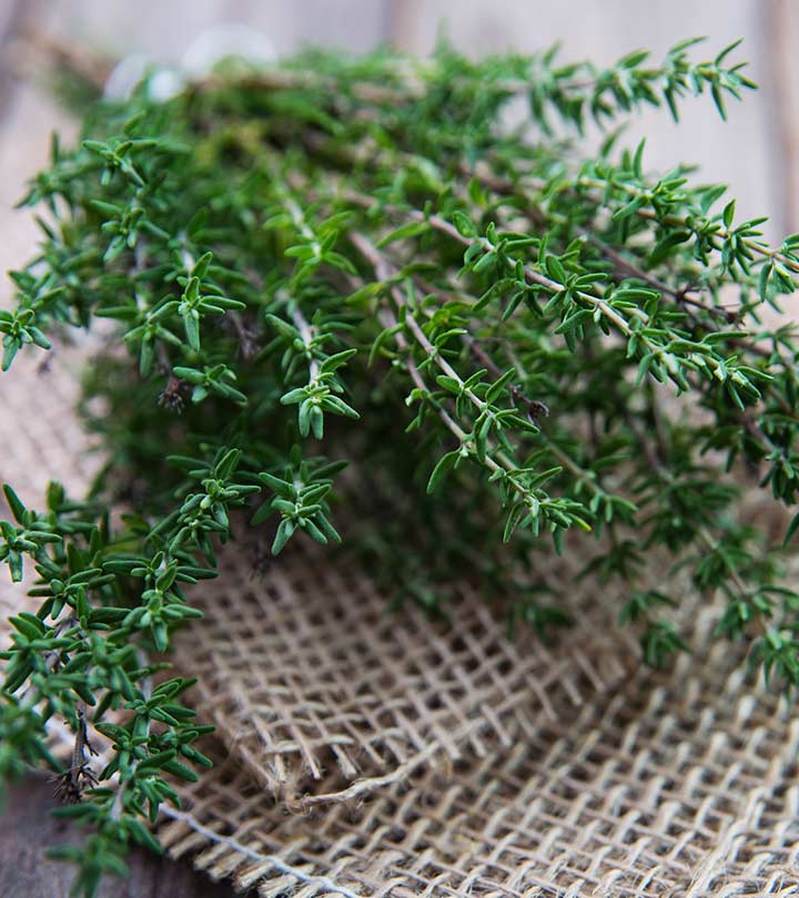 Thyme benefits Thyme benefits