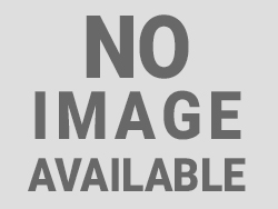 Top 8 Amazing Butterfly Thigh Tattoo Designs